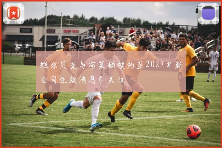 维尔贝克与布莱顿续约至2027年新合同生效消息引关注